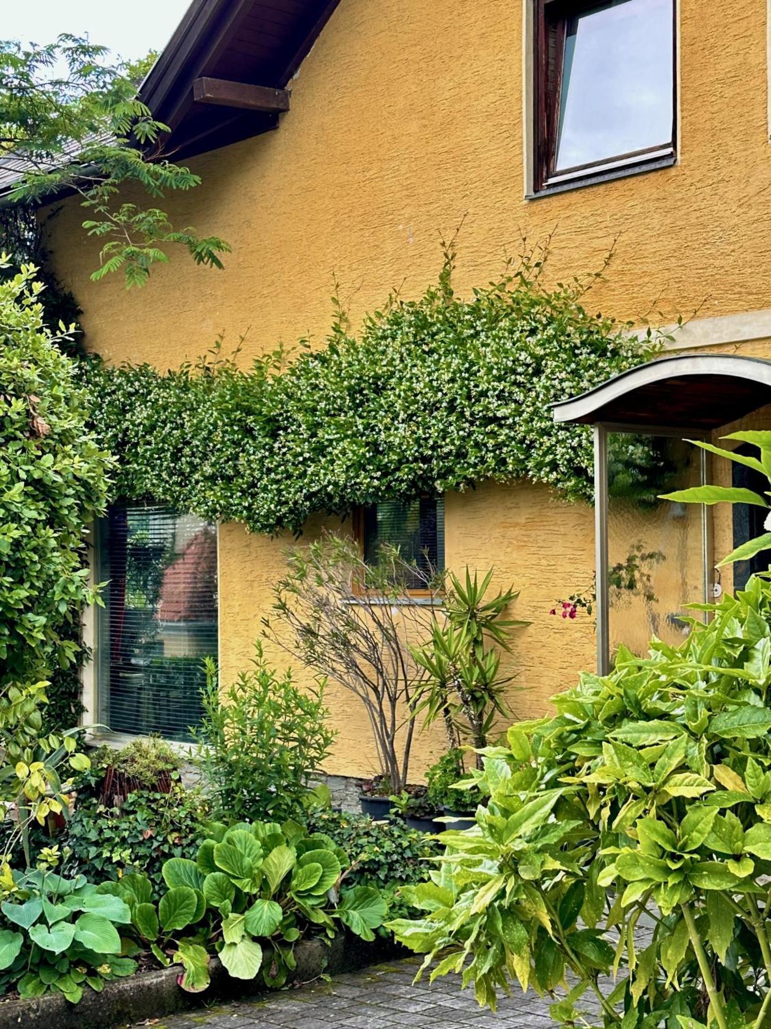 Bed and Breakfast Haus Marianne Мильстат Экстерьер фото